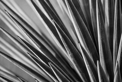 Detail shot of metal grate