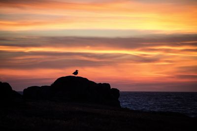 Silhouette man on rock against sky during sunset