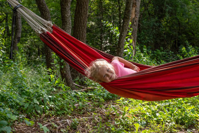 Portrait of cute relaxing in hammock against trees