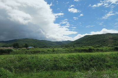 Scenic view of landscape against sky