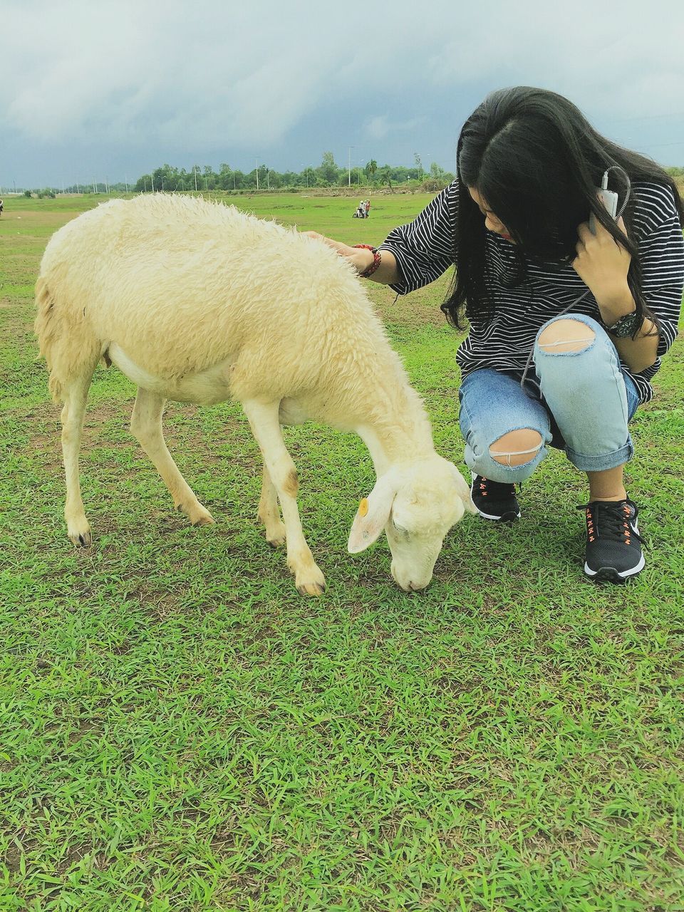 real people, domestic animals, livestock, field, one person, mammal, grass, day, outdoors, standing, full length, one animal, lifestyles, agriculture, leisure activity, nature, women, young women, sky, young adult, people