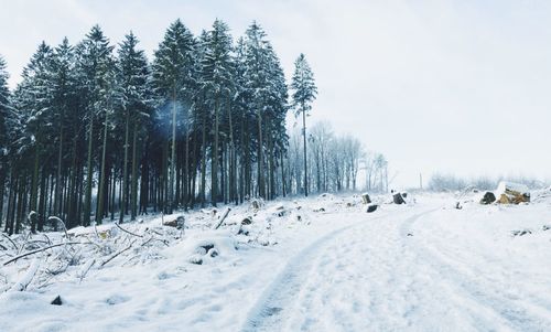 Scenic view of snow covered field