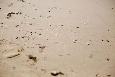 Full frame shot of wet sand