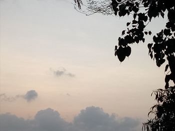 Low angle view of silhouette tree against sky