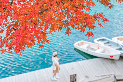 Tree against sea during autumn