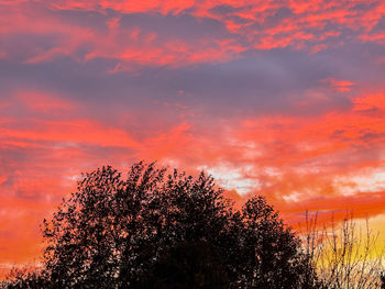 sky