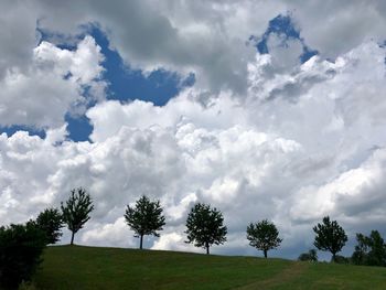 Low angle view of trees on field against sky