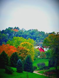 Scenic view of trees against sky