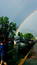 Rainbow over trees