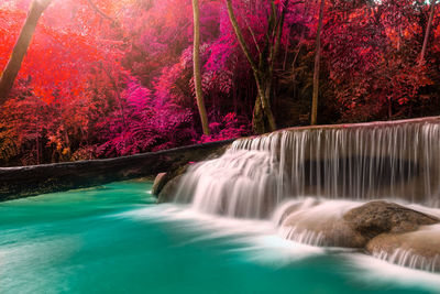 Scenic view of waterfall in forest