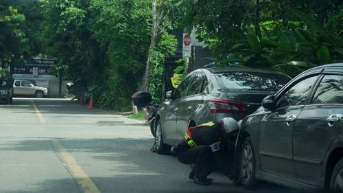 People on road amidst trees