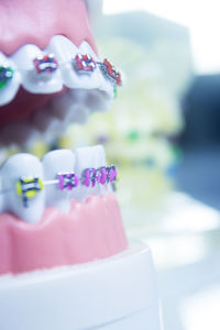 Close-up of cake