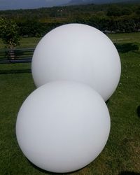 Close-up of grass in park