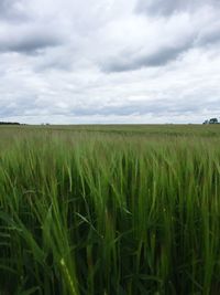 Scenic view of field against cloudy sky