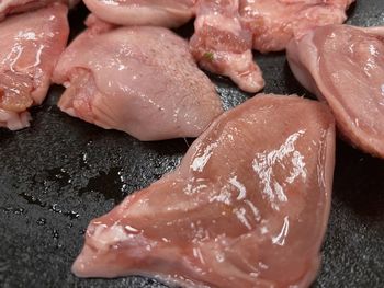 High angle view of fish in container