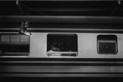 Low angle view of pigeon flying by train at railroad station platform