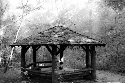 Built structure in forest