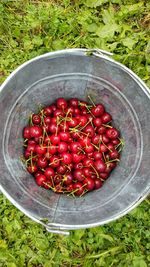 Directly above shot of cherries in bucket on field