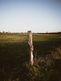 Wooden posts on field against clear sky