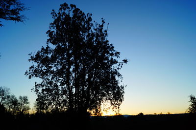 Silhouette of trees against sky at sunset