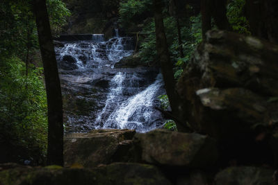 Scenic view of waterfall in forest