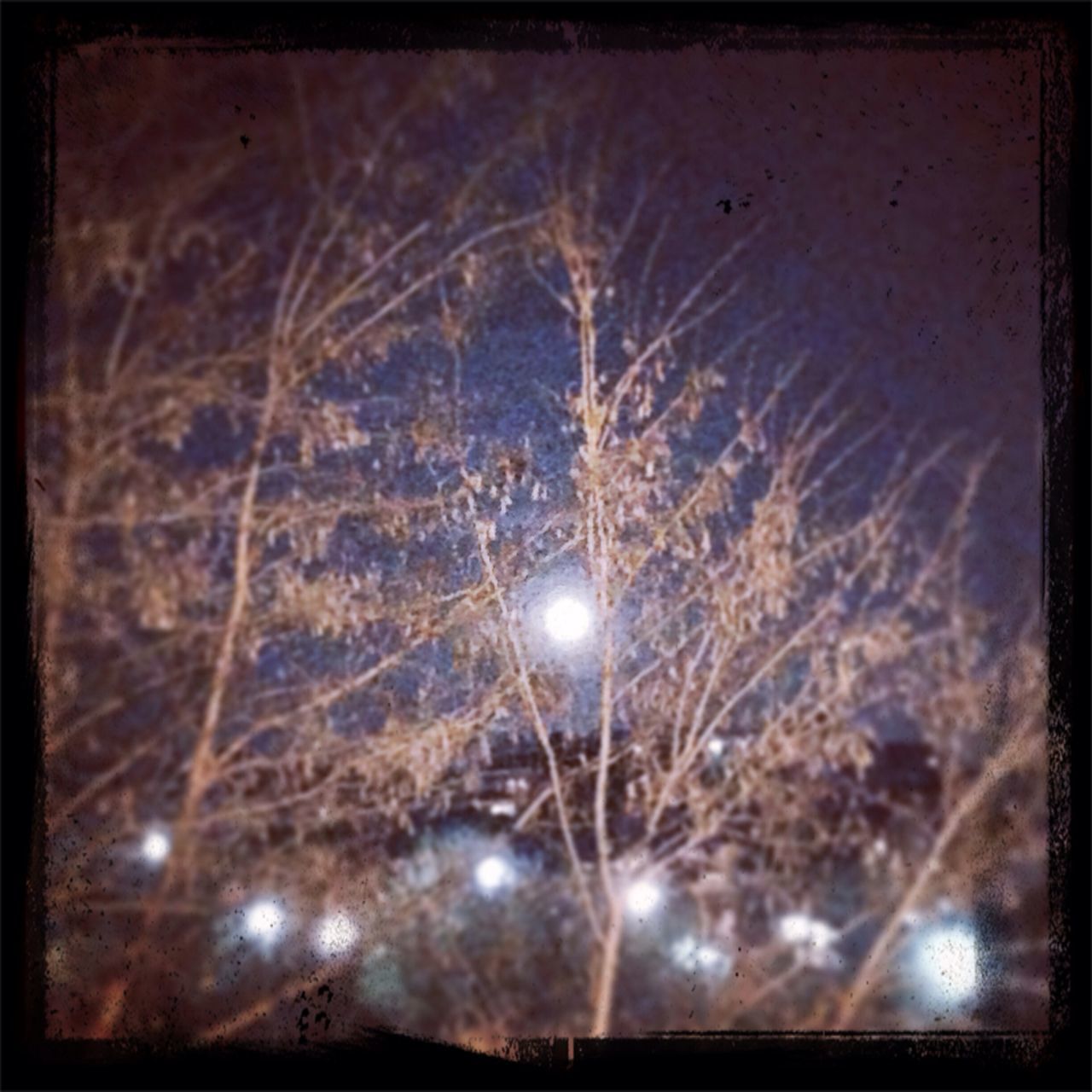 night, transfer print, illuminated, glowing, auto post production filter, low angle view, close-up, sky, celebration, lighting equipment, bare tree, no people, outdoors, nature, light - natural phenomenon, spider web, light, electricity, motion, focus on foreground