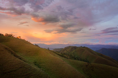 Scenic view of field against sky during sunset