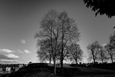 Silhouette bare trees on field against sky