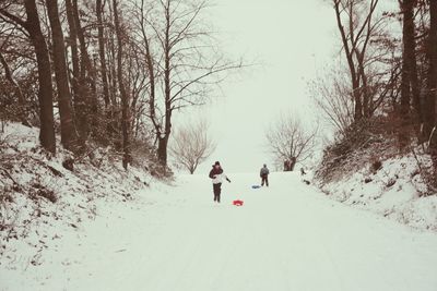 Father and son on snow covered trees