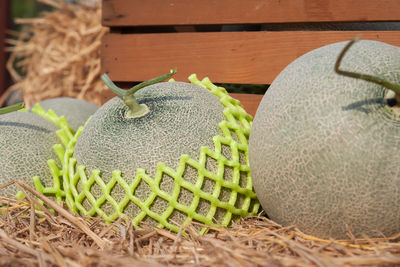 Close-up of fresh fruits in basket