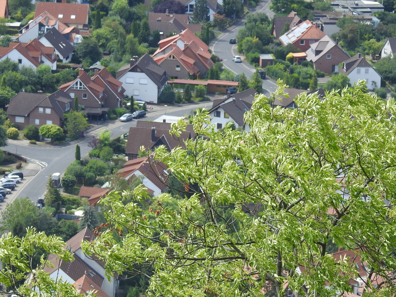 HIGH ANGLE VIEW OF TOWNSCAPE AND TREES