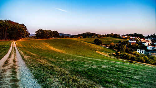 Scenic view of agricultural field against sky