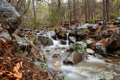 Stream flowing through rocks in forest