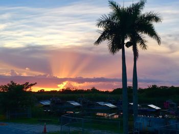 Silhouette palm trees at beach against sky during sunset