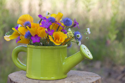 Close-up of yellow flowers on table