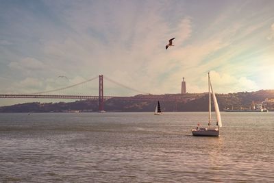 View of sailboat in sea against sky