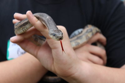 Midsection of man holding snake