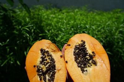 Close-up of orange fruit