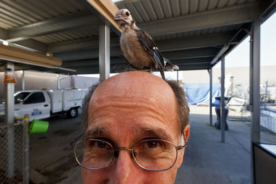 Portrait of with bird perching on head