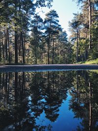 Reflection of trees in lake against sky