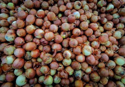 Full frame shot of fruits for sale at market stall