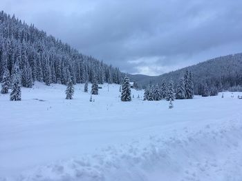 Snow covered land and trees against sky