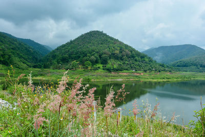 Scenic view of lake and mountains against sky