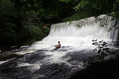 Scenic view of waterfall in forest