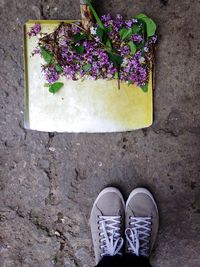 Low section of person standing on flower