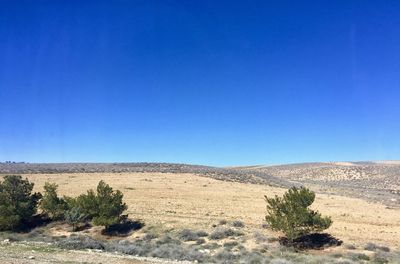 Scenic view of landscape against clear blue sky