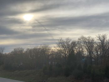 Trees in forest against sky during sunset