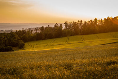 Scenic view of field against sky during sunset