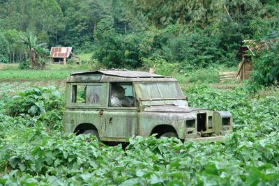 Wrecked car at the farm