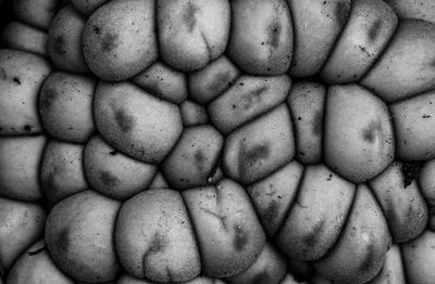 Extreme close up of pattern